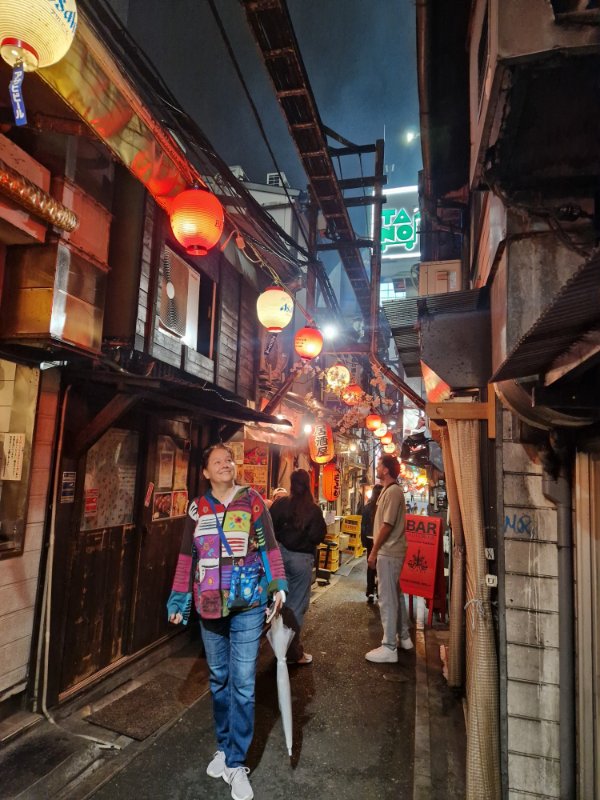 Japan, Tokio stari deo, Omoide Yokocho